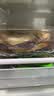 宝鼎天鱼上海宝鼎金标特级陈皮糟卤500ml八年陈香糟卤热糟虾糟鸡爪调味汁 实拍图