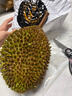 马猫马来西亚猫山王榴莲 生鲜水果液氮冷冻保鲜树熟带壳榴莲D197整个 2.6斤-3斤（保三房肉 新鲜享受） 实拍图