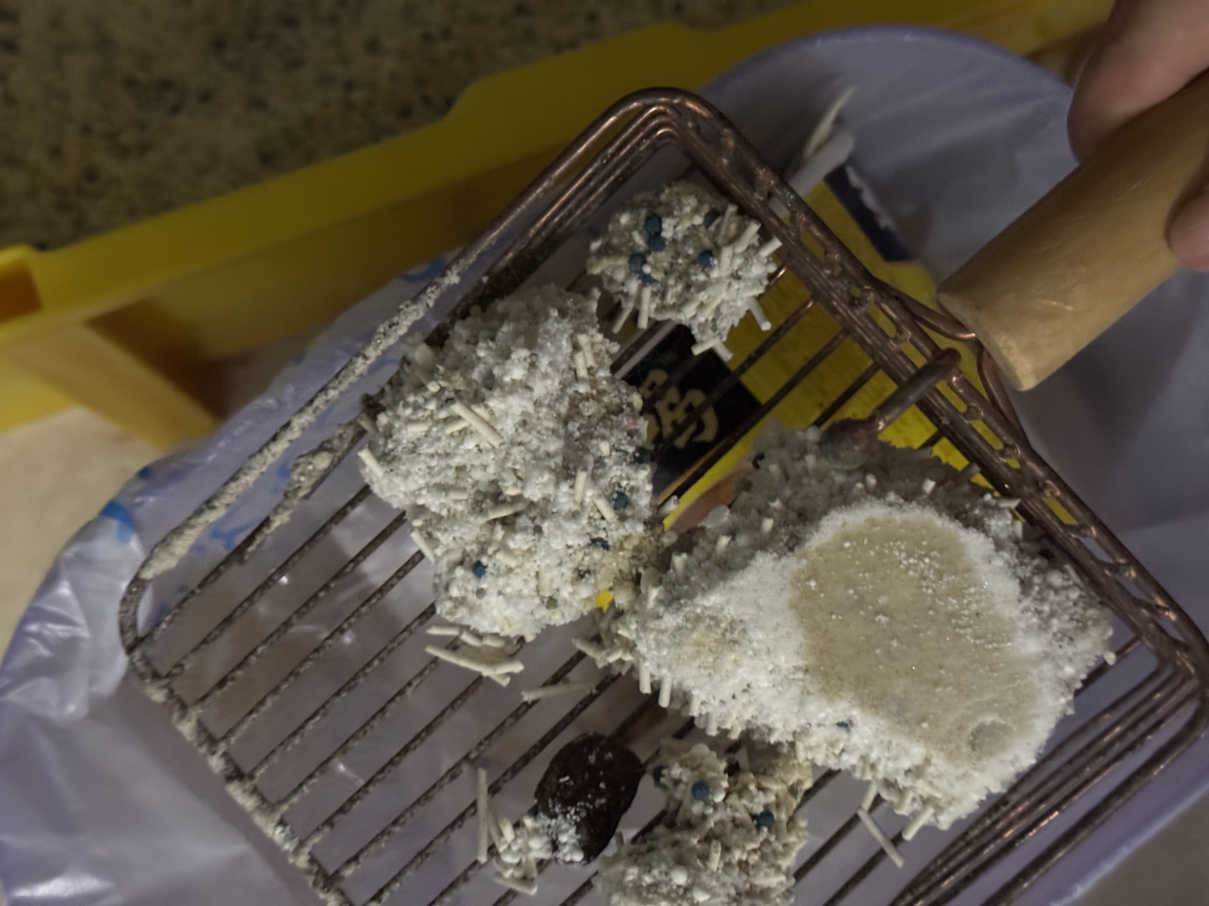 囧宝加菲猫豆腐猫砂京东自营送货上门强效除臭豆腐砂猫咪猫砂2.3kg 实拍图