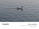 松下（Panasonic）Lumix S5M2 全画幅相机 L卡口 微单相机 无反数码相机 【20-60mm F3.5-5.6 原封套机】 实拍图