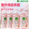 滴露（Dettol）香氛自然衣物消毒液1L*4  留香48H洗衣除汗臭 儿童玩具杀菌消毒水 实拍图