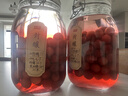 喜碧（Scybe）泡酒容器 密封罐10斤装泡酒专用瓶泡菜坛子泡酒瓶腌菜瓶潘多拉5L 实拍图