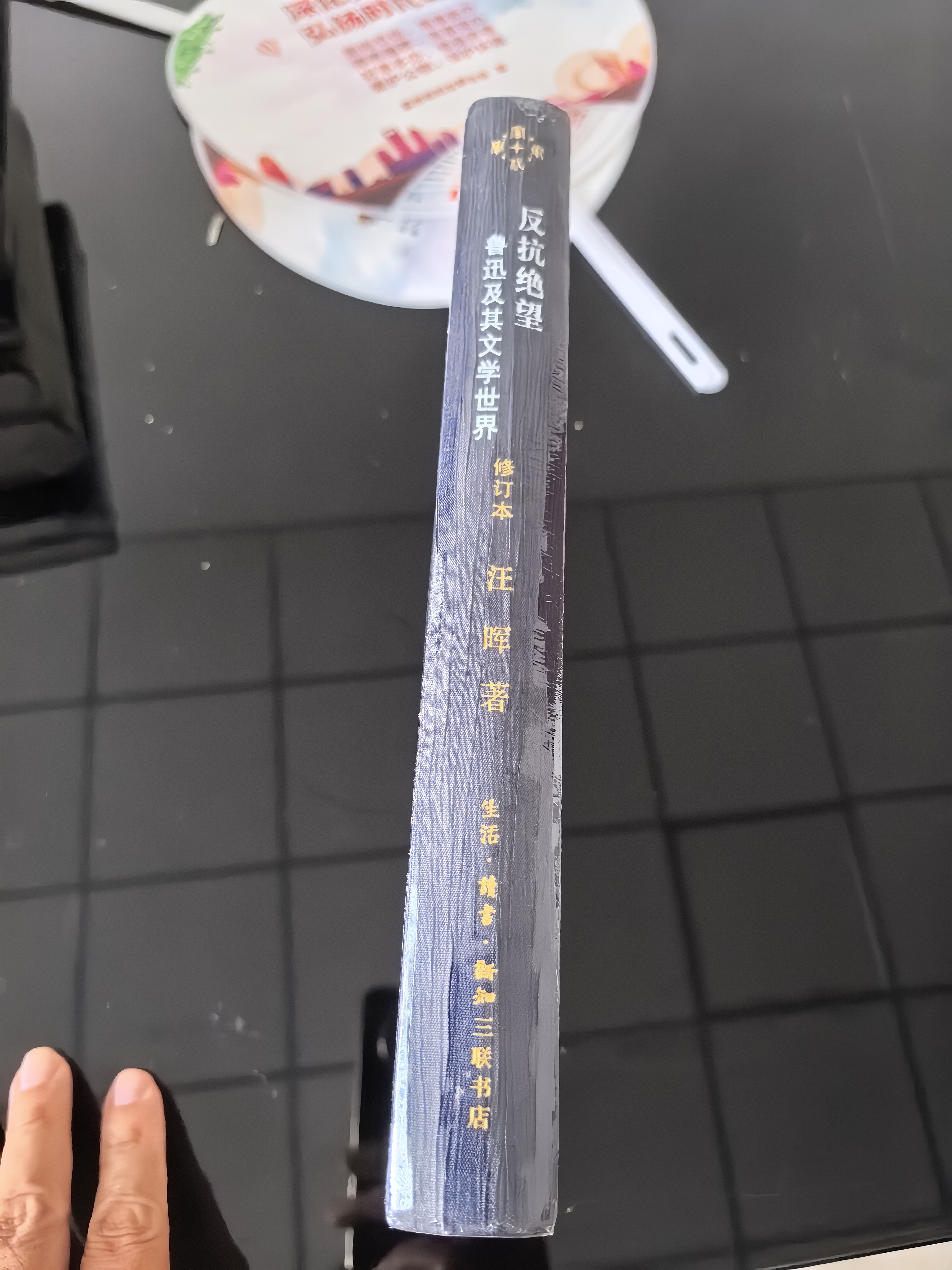 汪晖：反抗绝望-鲁迅及其文学世界（修订本）（当代学术） 实拍图