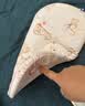 babycare新生儿枕头云片枕婴儿透气宝宝抗菌枕0-6月可机洗芽芽乐园40*20cm 实拍图