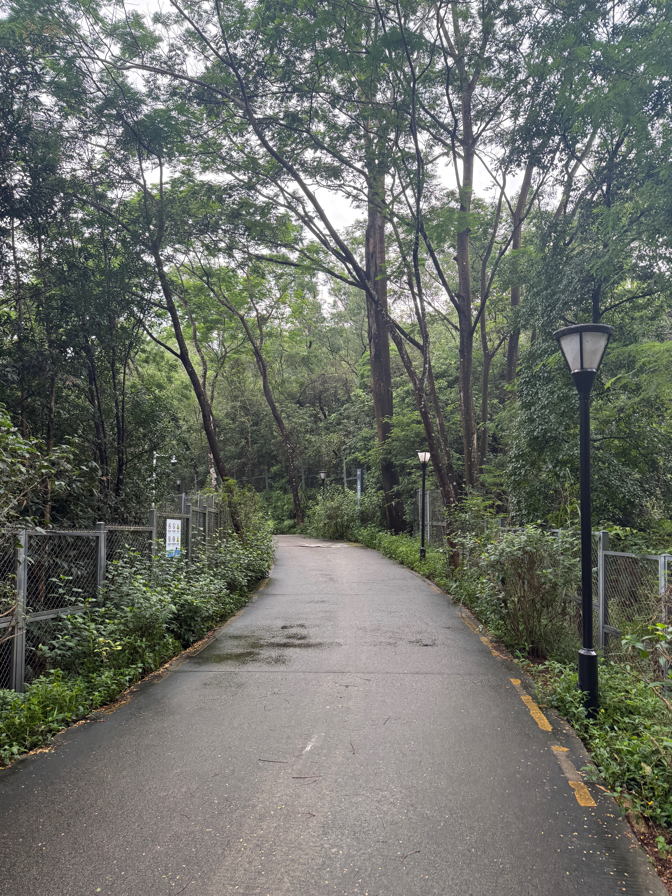硕图自拍杆三脚架云台稳定器手持拍照防抖直播神器360度旋转伸缩旅游手机支架落地直播支架抖音拍摄架 实拍图
