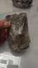 花翁巴西木格鲁特水养幸运木水培盆栽办公室内阳台花卉绿植物源头直发 实拍图