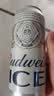 百威冰啤酒500ml*18听整箱装【99%好评】京东自营父亲节送礼 实拍图