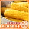 茅台（MOUTAI）【官方旗舰】贵州茅台酒股份出品 贵州大曲酒 酱香型白酒迎宾 53度 1.5L 1坛 贵州大曲似水流年 实拍图
