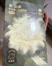 babycare山茶花夏季轻薄款一次性内裤女孕妇产后出差旅行日抛免洗 M码 4条 实拍图