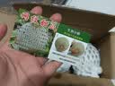 琪江果山东玫珑网纹蜜瓜 冰淇淋蜜瓜当季新鲜水果整箱 网纹蜜瓜净重4.5-5斤2-3个 实拍图