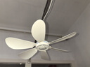 艾美特（AIRMATE）小吊扇学生宿舍床上电风扇大风力小风扇蚊帐扇微风吊扇电扇 标准款（线长1.8米） 标准款 实拍图