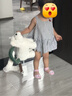babycare&bctoys西高地毛绒包公仔玩具玩偶女孩节日送礼-单肩斜挎包 实拍图