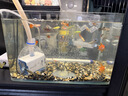 森森（SUNSUN）耀蓝鱼缸水泵小型潜水泵过滤泵抽水泵YQP-500 6W 实拍图