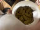 Webber Naturals伟博Osteo Joint Ease氨糖软骨素180粒 进口呵护关节软骨抗炎MSM  实拍图