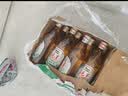 天湖纯麦啤酒鲜活纯麦 自然新鲜450ml*12瓶辽宁特产啤酒京东自营整箱 实拍图