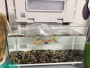 画法几何 智能鱼缸接入米家生态 智能鱼缸+专用增氧泵套装 实拍图