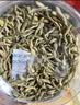 南京同仁堂黑苦荞茶正宗四川大凉山特选全胚芽荞麦茶泡水喝的养生茶端午520g 实拍图