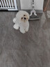 澳贝（auby）拨浪鼓婴儿硅胶手摇铃可啃咬牙胶玩具新生儿适用礼盒装 实拍图