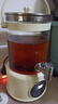志高（CHIGO）养生壶烧水壶热水壶恒温壶养生烧水壶煮茶壶煮茶器泡茶壶一体机全自动玻璃保温小家用 2.8L 带滤网 48H恒温 实拍图