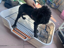 HELLOJOY狗厕所中型小型犬专用防踩屎便盆尿尿盆非不锈钢大小便神器狗砂盆 实拍图
