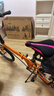 大行（DAHON）折叠自行车20英寸8级变速经典P8单车KBC083 橙色经典版--京仓 实拍图