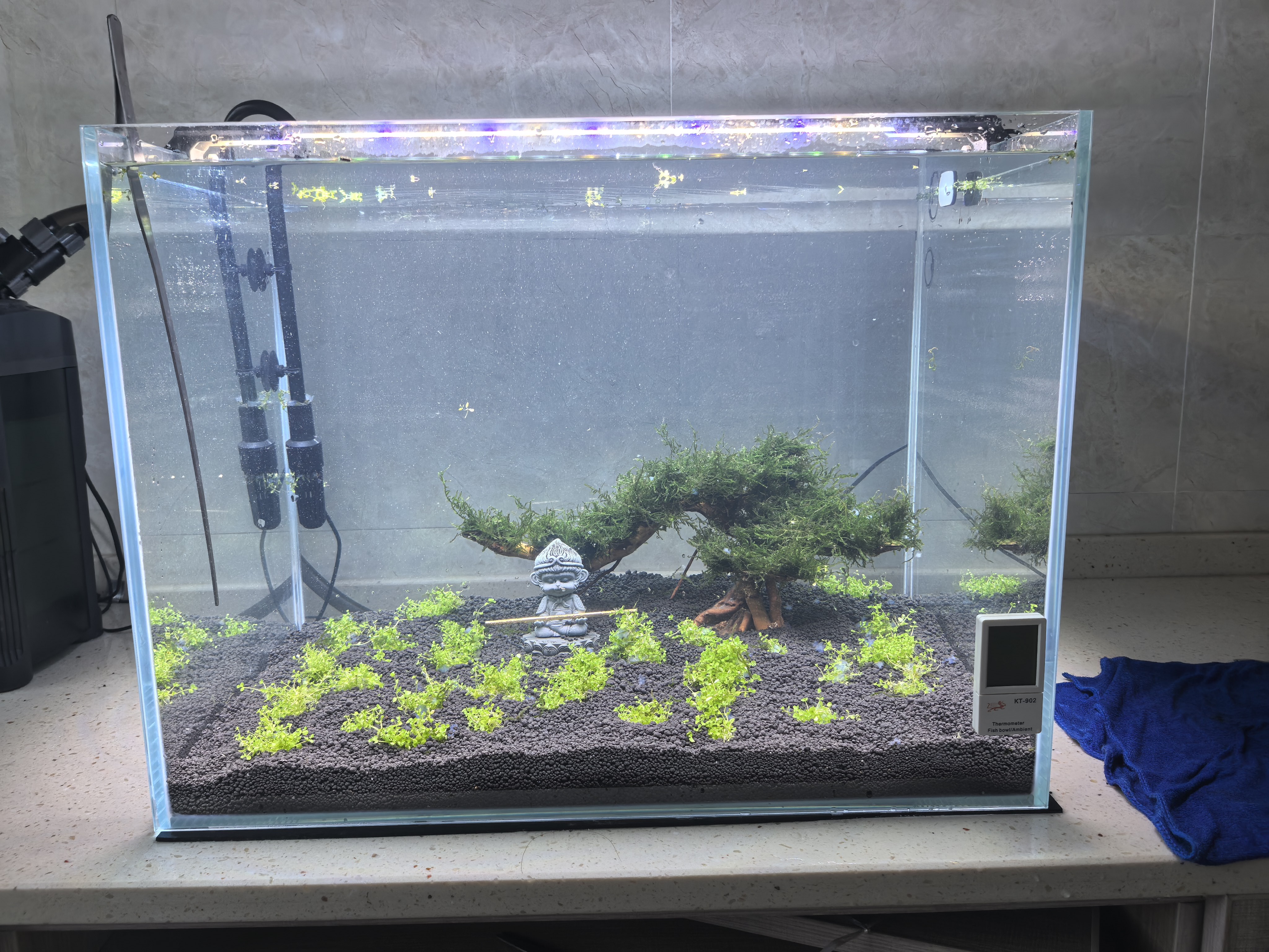 尼特利（NETLEA）水草泥鱼缸净水营养土水族养鱼水藻泥免水洗种植土草缸底砂 二代-自然粒 9L 实拍图