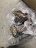 达派（dapai）德国真空封口机家用商用干湿两用全自动抽真空包装真空食品保鲜机塑封机抽腊肉真空封口 店长推荐【干湿两用】下单享袋子 实拍图