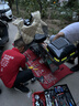 朝阳轮胎2.50-10电动车真空胎轮胎盾甲腾龙防爆型8层电瓶车轮胎H-972 实拍图