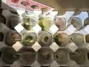 京鲜生 山东草莓西红柿净重3斤单果50g+生吃铁皮柿子水果番茄源头直发 实拍图