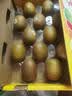 佳沛（zespri）新西兰阳光金奇异果巨大果15粒礼盒 单果146-175g 猕猴桃水果礼盒 实拍图