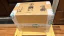 周顺来 茉莉花茶2026新茶浓香型茉莉玉螺500g广西横县原产茉莉花茶 茉莉玉螺250g*2罐 实拍图