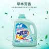 花王（KAO）进口一匙灵抑菌洗衣液手洗机洗 深层除菌除垢除异味 3kg/瓶 实拍图