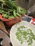 中鲜生 云南新鲜豌豆 甜豌豆新鲜蔬菜现摘豆角 净重4.5斤【好划算】鲜嫩饱满 实拍图