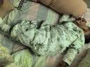 欧孕（OUYUN）婴儿睡袋夏季薄款竹棉纱布分腿新生儿防惊跳包被 四二 熊猫90*52 实拍图