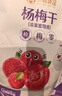 孕味食足酸味梅子组合5种孕妇可吃零食话梅酸枣糕西梅蜜饯果干大礼包550g 实拍图