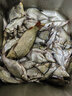 小凤仙改良金袖鱼钩有无刺成品进口子线双钩鲫鱼袖钩 3号钩+子线0.8/1.0 实拍图