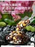 史丹利兰花专用土君子兰蝴蝶兰营养土松树皮泥炭种植盆栽养花土壤10L 实拍图