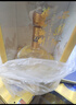 西凤酒 华山论剑10年 52度 500ml*6瓶 整箱装 凤香型白酒 实拍图