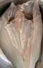 【海鲈鱼】鲜活三去开背鱼类 冷冻海鲜水产生鲜 大鱼【500g-600g】*5条 实拍图
