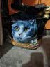 亿迪 冻干猫粮幼猫成猫10斤全价布偶蓝猫英短成年全阶段 实拍图