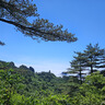松下ZS99 卡片机 数码相机 长焦便携口袋相机  演唱会/旅游用 学生入门 2030万像素  5轴防抖 USB充电 ZS99【银色】 实拍图