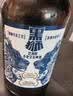 黑狮啤酒【雪花旗下高端品牌】白啤330ml*12瓶 王一博同款 端午送礼 实拍图