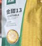 北蔬水果玉米种子苗大棒甜脆黄甜水果玉米种籽 金甜13玉米种子100g 实拍图