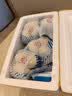 宝兰聚缘[现挖航空]兰州鲜百合食用新鲜甜百合蔬菜土特产原产地真空三头皇 25-30颗(发JD航空)4斤 实拍图