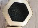 承道铭茶叶毛尖茶2026新茶明前特级信阳原产浓香型嫩芽中秋茶叶礼盒500g 实拍图