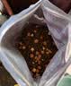 麦富迪猫粮 超肉粒冻干双拼猫粮美毛护肠胃三文鱼16kg/32斤 实拍图
