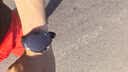华为HUAWEI WATCH 5 42mm基础款深锖色不锈钢表壳幻月黑氟橡胶表带eSIM智能手表 实拍图