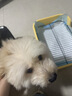 HELLOJOY狗厕所中型小型犬专用防踩屎便盆尿尿盆非不锈钢大小便神器狗砂盆 实拍图