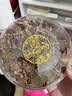 半山农【整株】金线莲 送礼袋福建南靖林下仿野生养生肝茶30克母亲节礼 实拍图