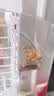 乖卷鹦鹉自动喂食器谷壳分离防洒防溅全透明下料食盒虎皮牡丹鸟类用品 实拍图